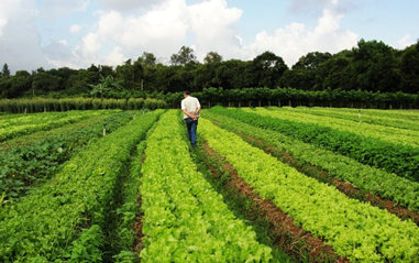 agroecologia_embrapa.png