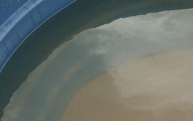agua_suja_nova_venecia_foto_do_leitor.jpg