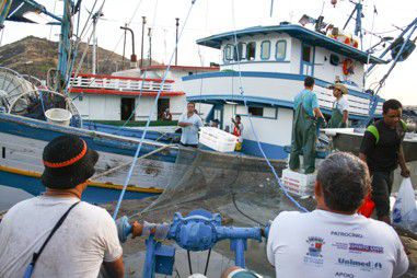 pesca__leonardo_s____3_20200309-001851_1.jpg