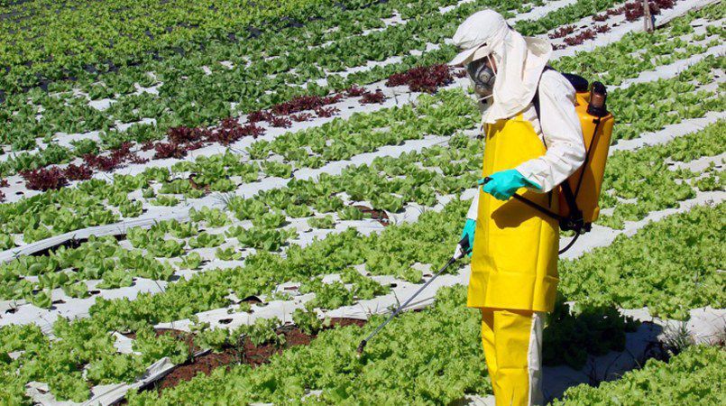aplicacao-agrotoxicos-idec-cfn-divulgaca_20200309-032801_1.jpg