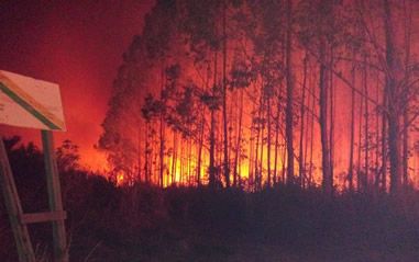 incendio_suzano_pau_brasil_josi_tupinikim.jpg