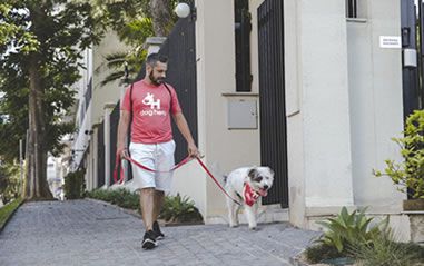 passeiosdoghero_divulgacao.jpg