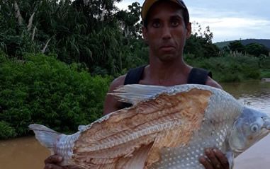 mortandade_peixes_rio_doce_aspe_20200309-042332_1.jpg