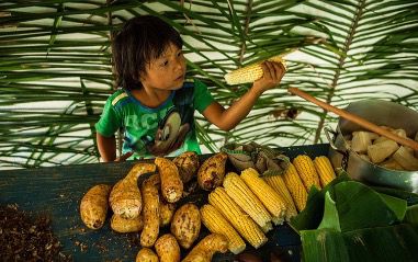 alimento_guarani_capa_divulgacao.jpg