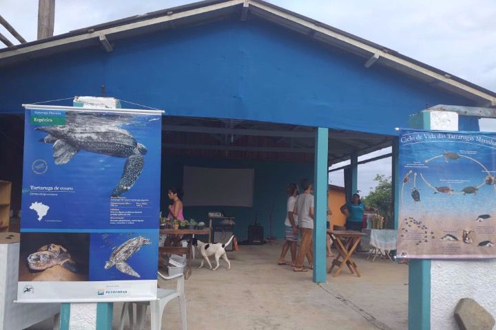 Tamar_praia_divulgacao.jpg