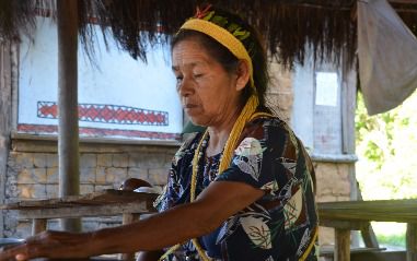 guarani_capa_Lara_Sartorio.jpg