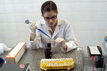 iniciacao_cientifica_fapes.jpg