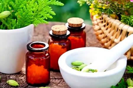 homeopatia-plantas_medicinais_reproducao_ufv.jpg