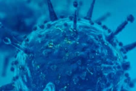 coronavirus_reproducao_fiocruz.jpg