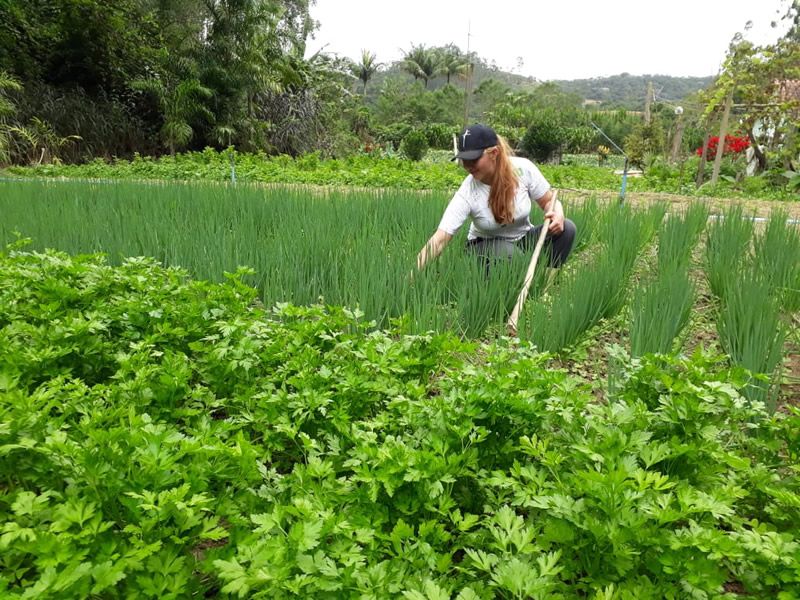 horta_agricultora_arquivo_pessoal.jpg