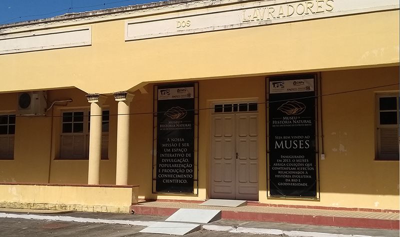 muses_ufes_CreditosDivulgacao.jpg