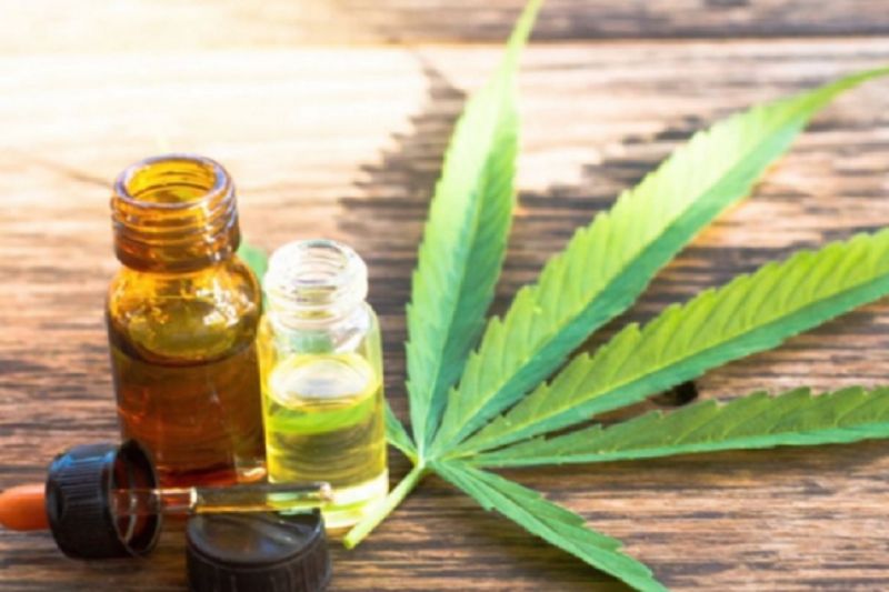 cannabis_medicinal_reproducao_youtube.jpg