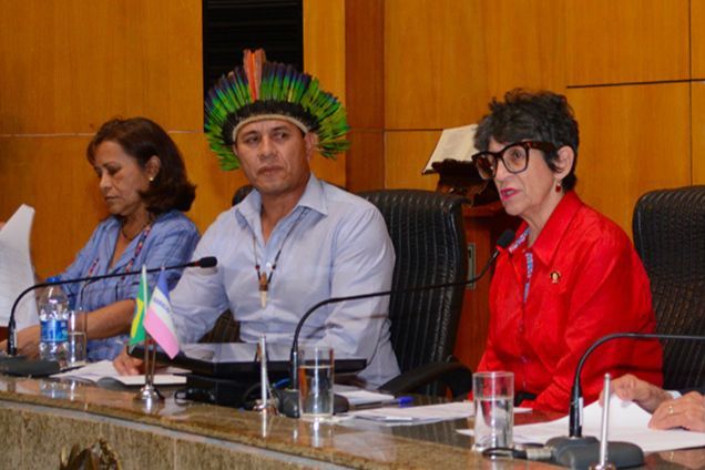 vilson_jaguarete_ales.jpg