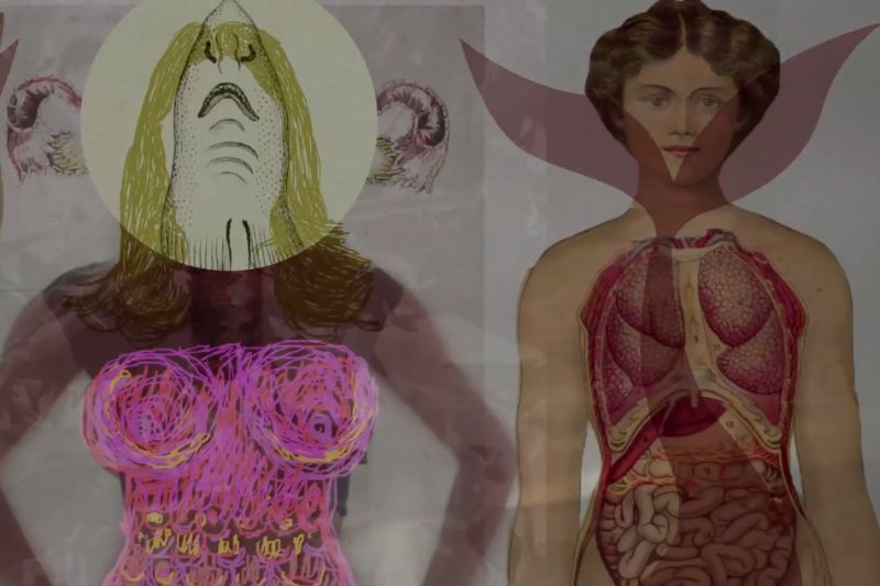 bestiario_foto_vimeo.jpg