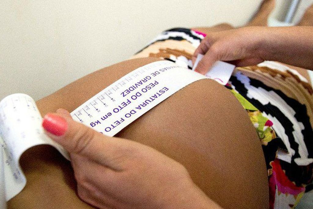 barriga_gravida_ana_nascimento_mds_portal_brasil.jpeg