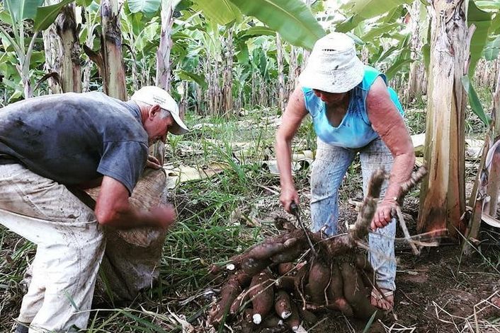 agricultores_rede_bem_viver.jpg