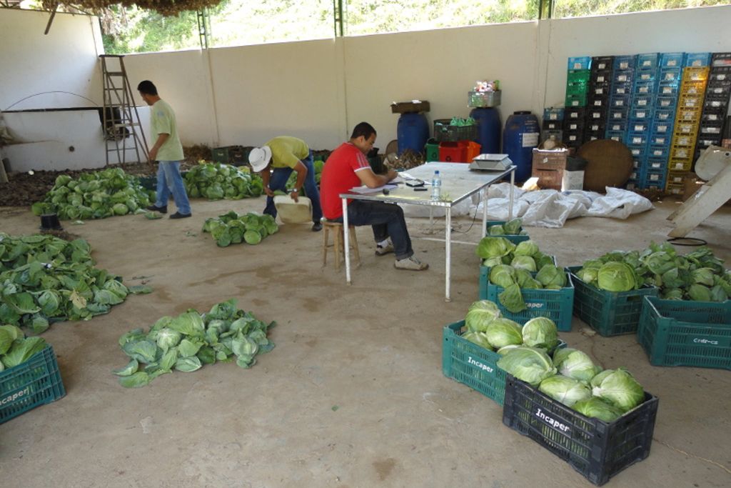 fazenda_experimental_-Incaper3.jpg