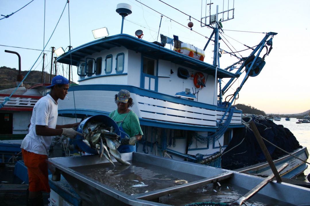 pesca_leonardo_sa-316.jpg