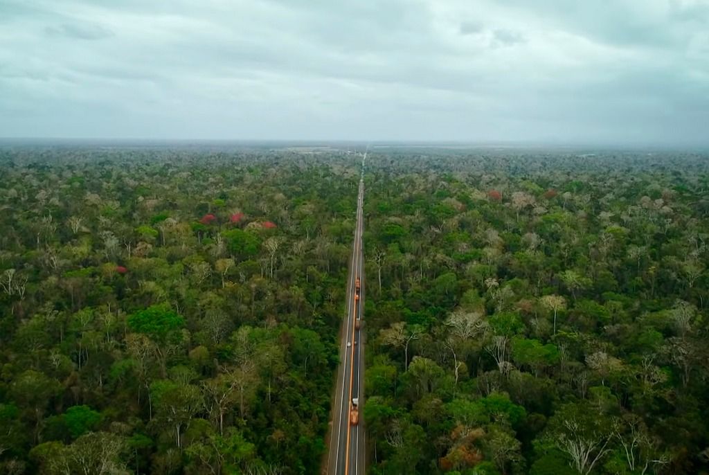 br_101_sooretama_reproducao_parques_do_brasil.jpeg