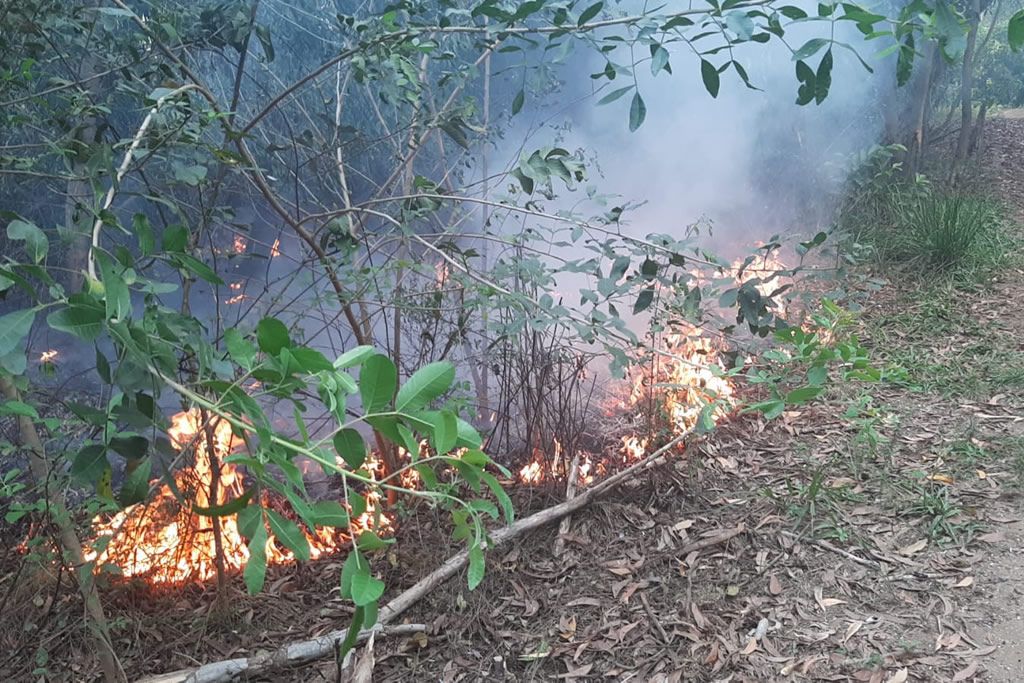 incendio_lagoa_encantada_2_instagram.jpg