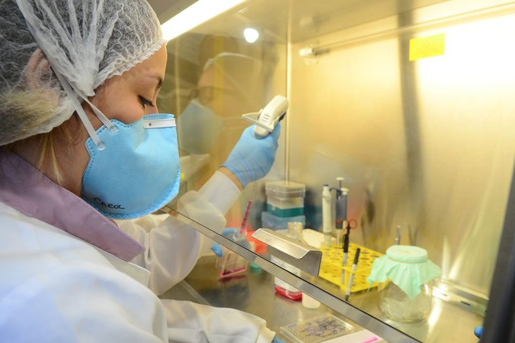 pesquisadora_laboratorio_ciencia_rovena_rosa_abr.jpg