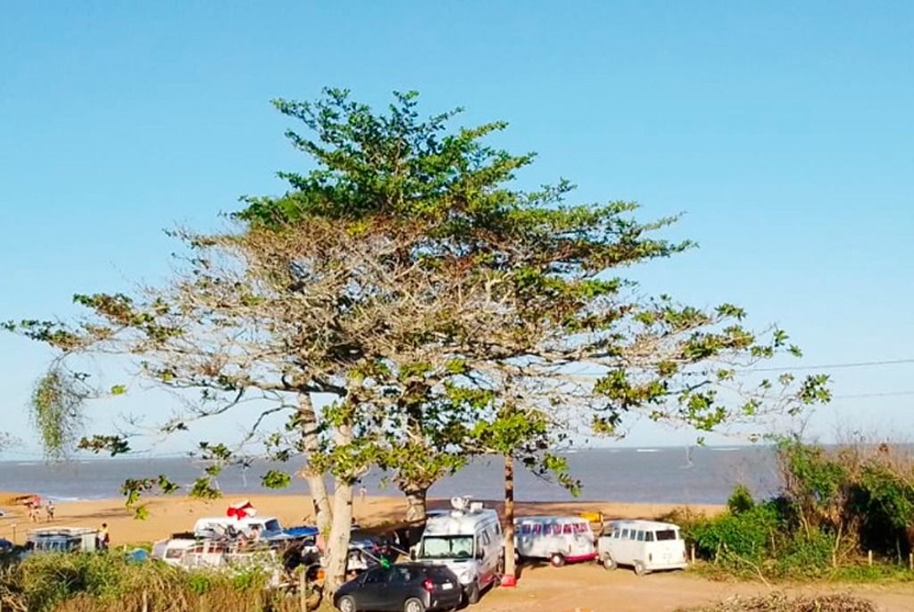 turismo_predatorio_praia_do_saue_carros_foto_do_leitor.jpeg