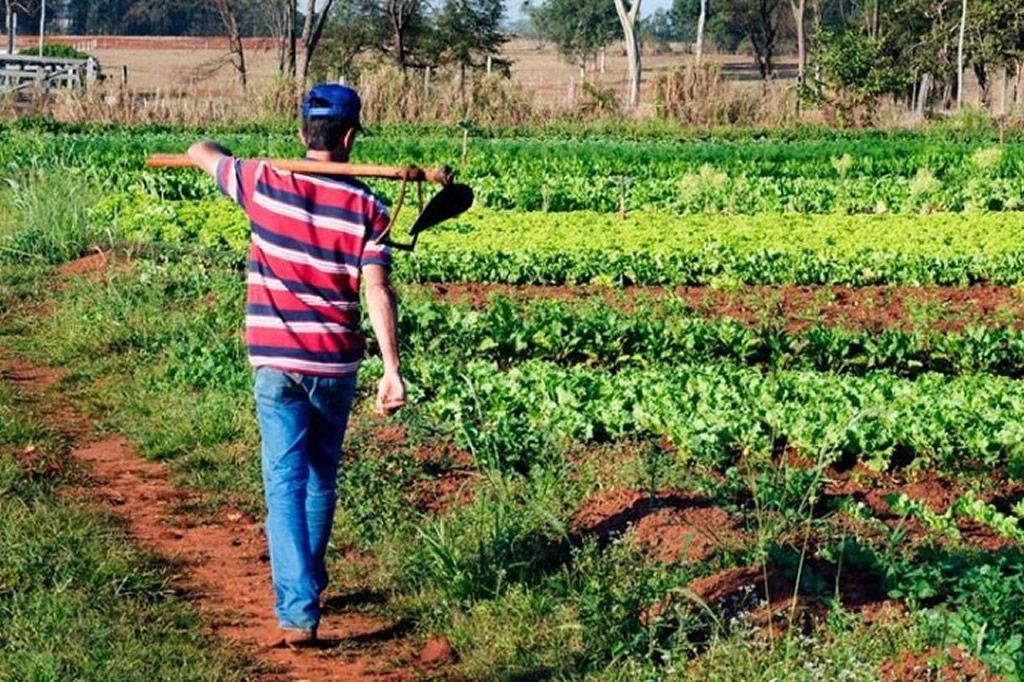agricultura_agenciabrasil.jpg