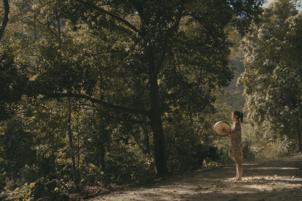 naturezadespertada_webserie_2_divulgacao.png