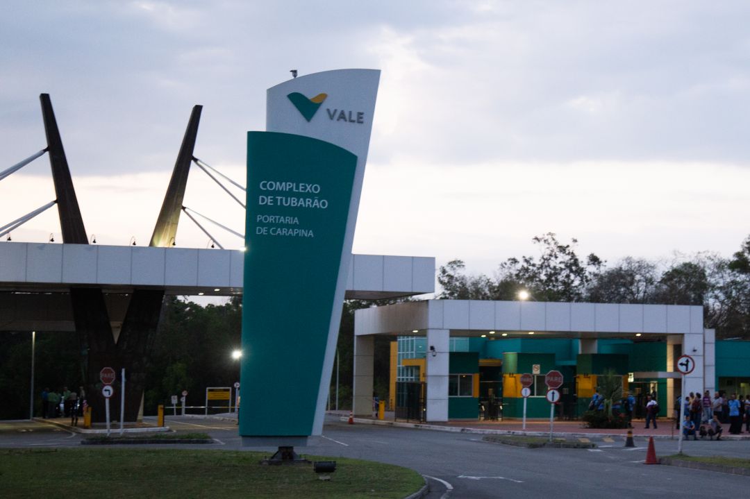 tubarao_vale_leonardo_sa-2.jpg