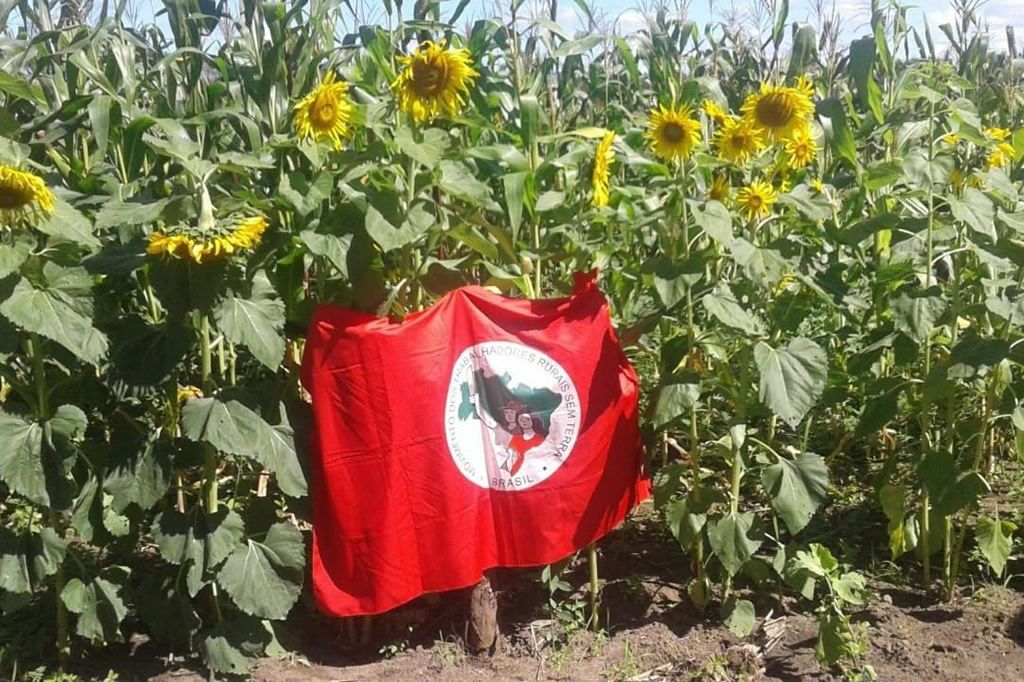 MST_bandeira_MST.jpg
