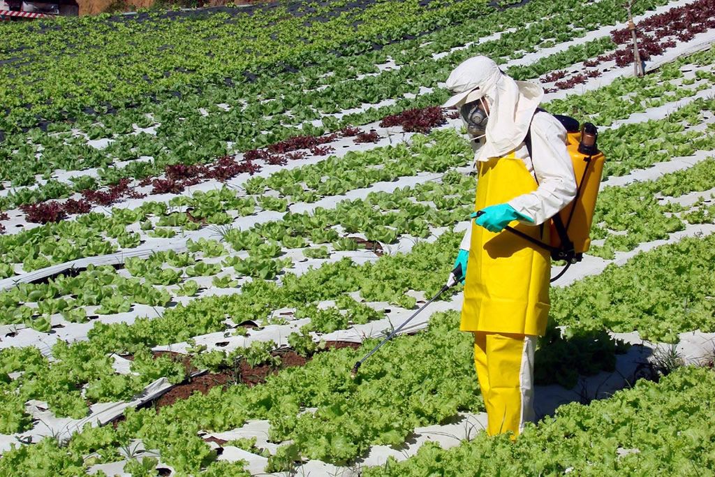 aplicacao_agrotoxicos_idaf.jpg