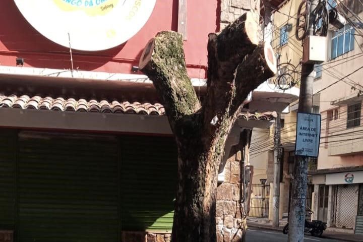 poda_arvore_centro_FotoDivulgacao.jpg