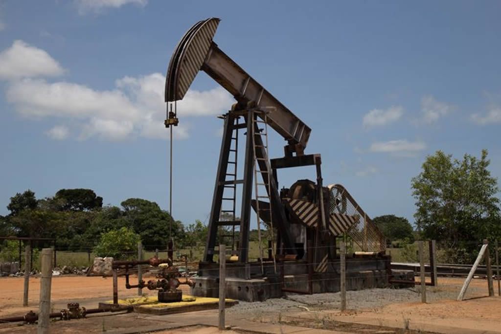 cavalinho_petroleo_terrestre_leonardo_sa.jpg
