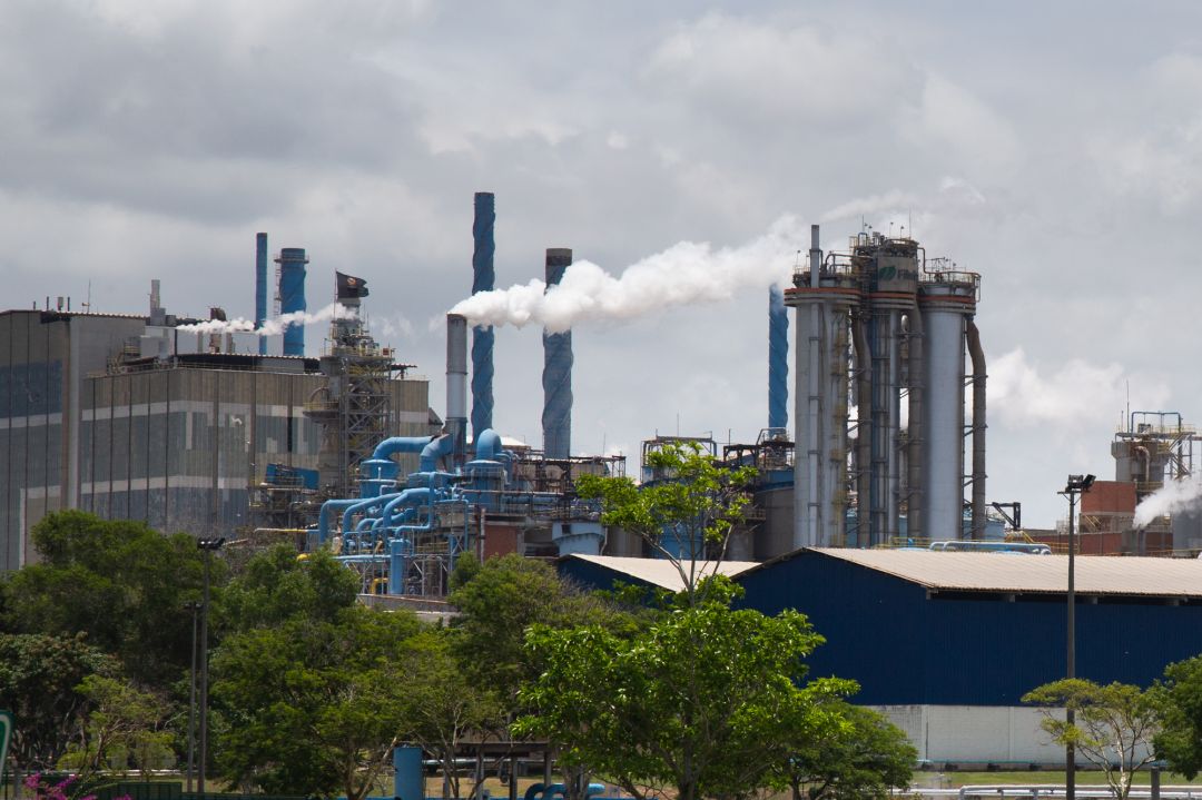 fibria_aracruz_leonardo_sa-2569.jpg