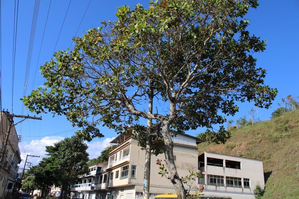 antiga_avenida_dores_rio_preto_pmdrp.jpg