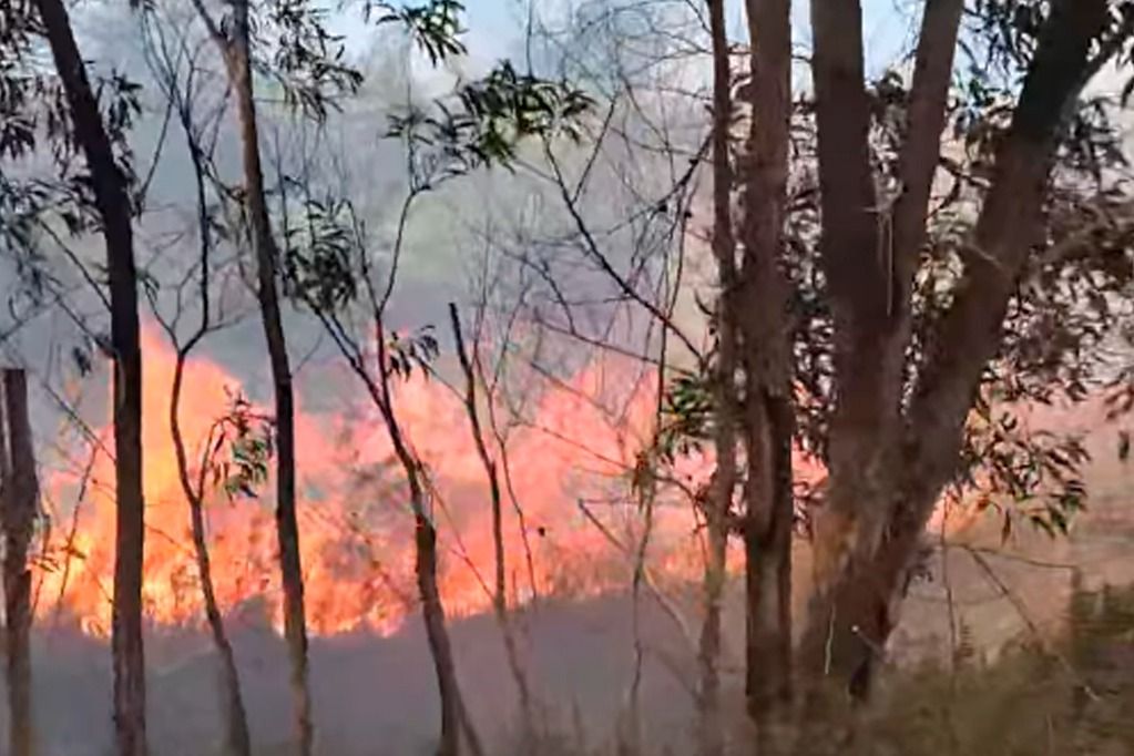incendio_lagoa_encantada_reproducao.jpeg