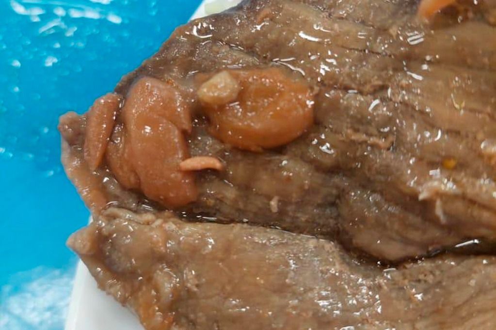comida_vale_larva_FotoDivulgacao.jpg