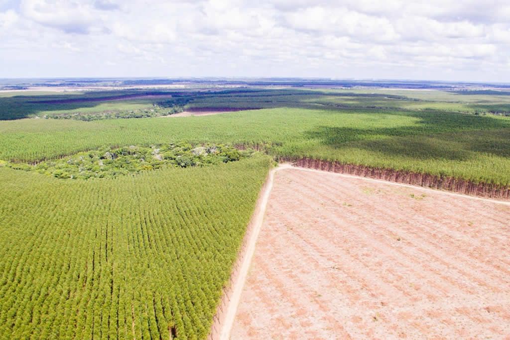 aerea_monocultivo_solo_nufase_es.jpg