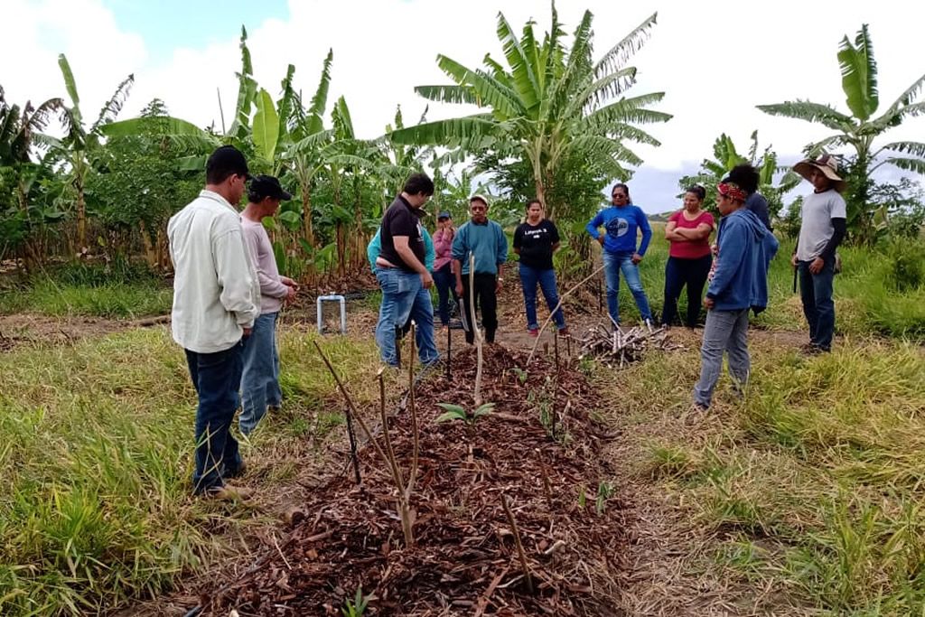 extensionista_agroecologia_divulgacao.jpg
