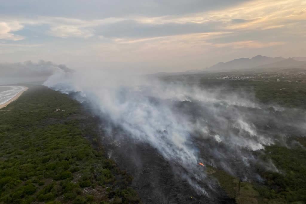 incendio_parque_paulo_vinha_set22_1_marcelo_nascimento_iema.jpg