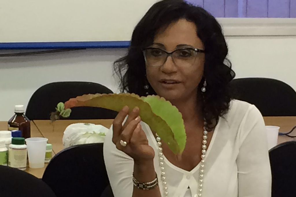 henriqueta_sacramento_divulgacao.jpg
