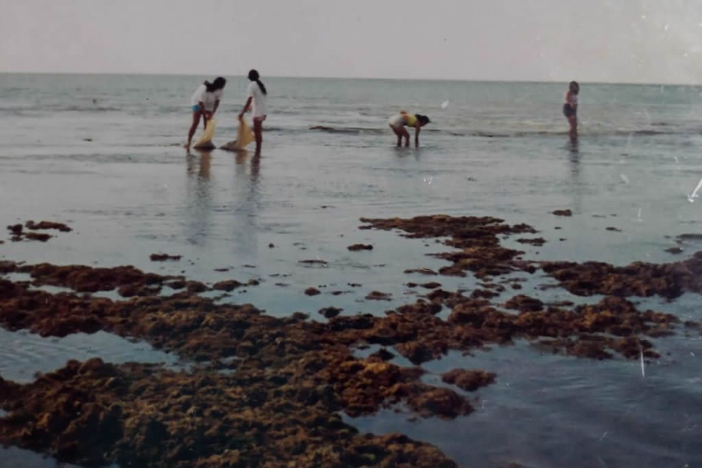 praia_agua_boa_pau_brasil_tupinkim_aracruz_arquivo_pessoal.jpg
