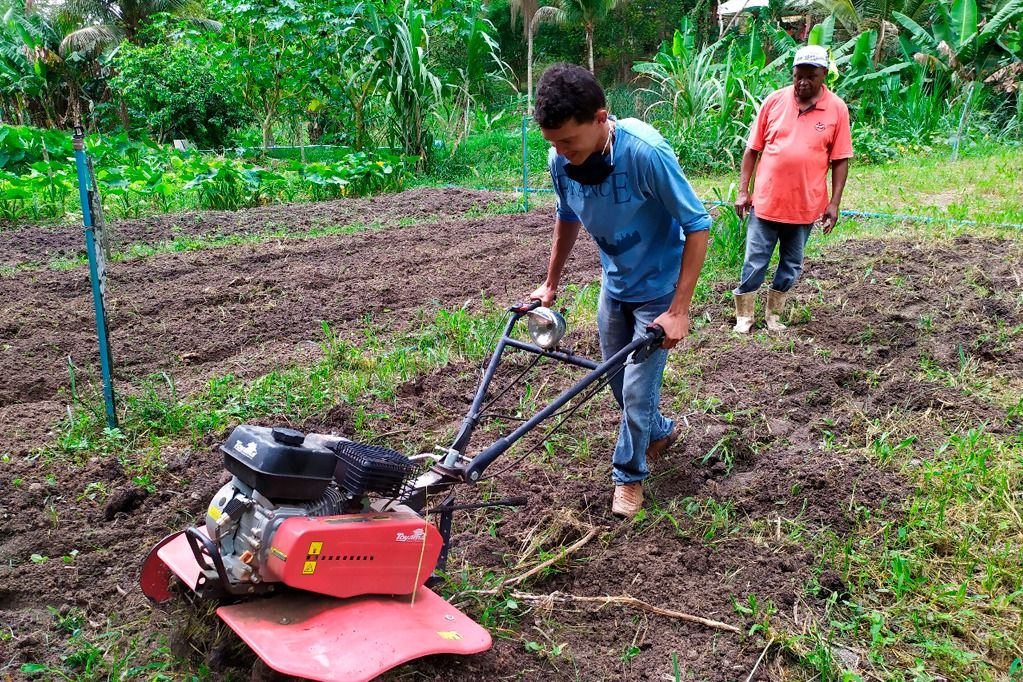 agroecologia_pinheiros_seu_salvador_5_maria_josefa_garrido-valverde.jpeg