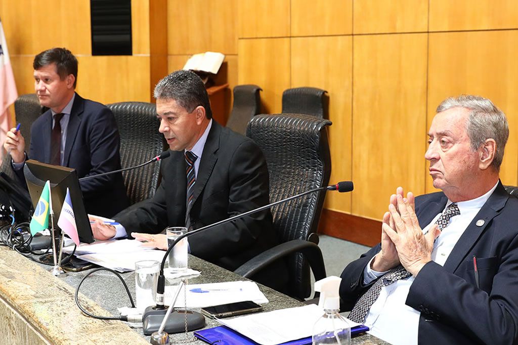 comissaofinancas_ales_ellencampanharo_ales.jpg