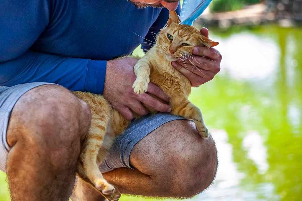 gatinhos_pedra_cebola_fernando_2_arquivo_pessoal.jpeg