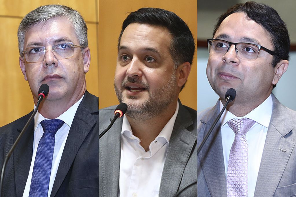 adilson_gandini_vandinho_ales.jpg
