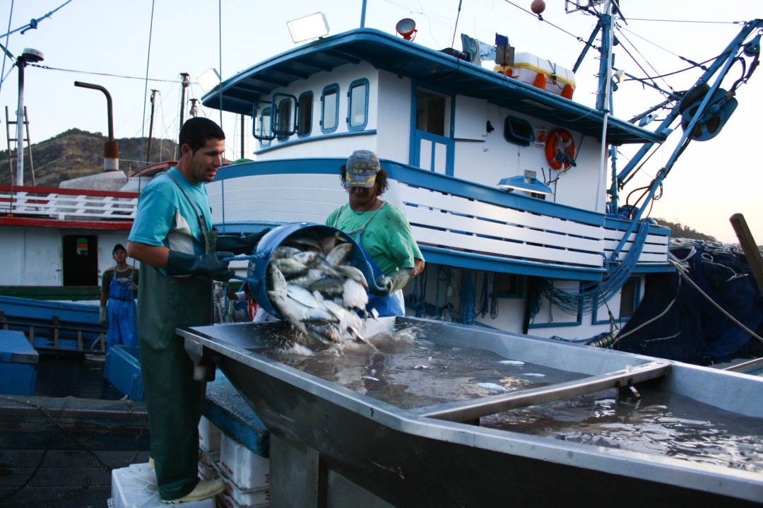 pesca_leonardo_sa-309.jpg