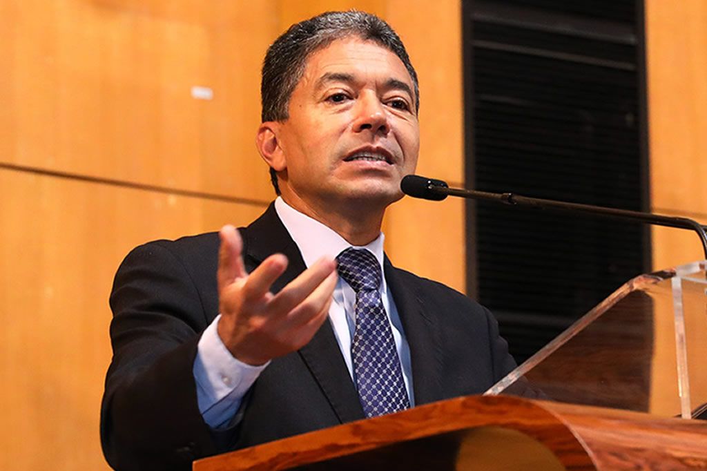 freitas_anasalles_ales.jpg