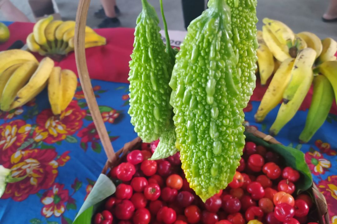 alimentos_mst_vitor_taveira.jpg