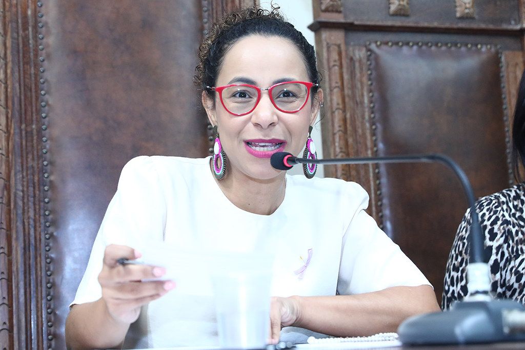 camilavaladao_audiencia_ellencampanharo_ales.jpg